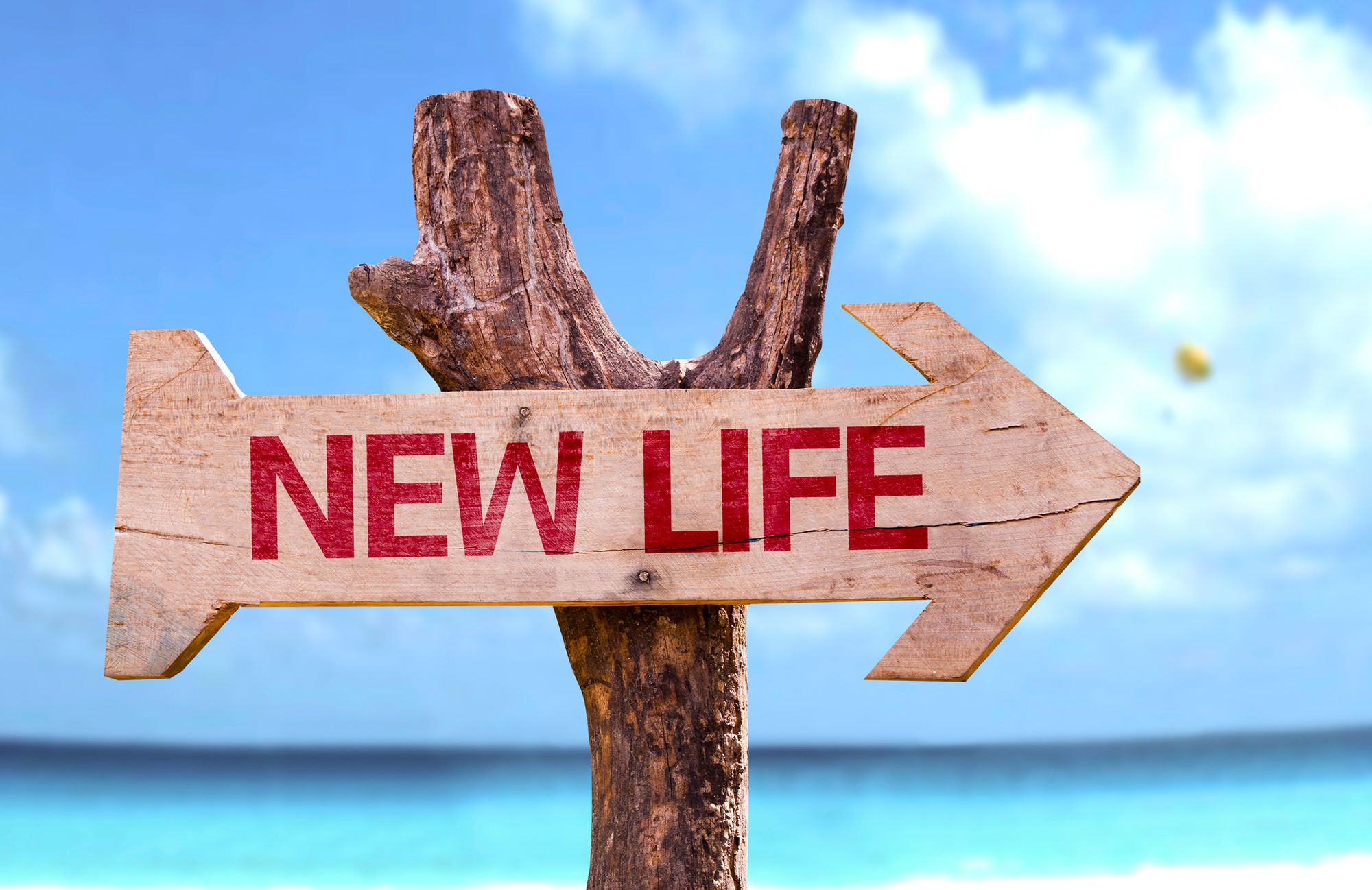 Schild als Pfeil mit der Aufschrift "NEW LIFE", das an einem Baum genagelt ist mit einem Strand im Hintergrund