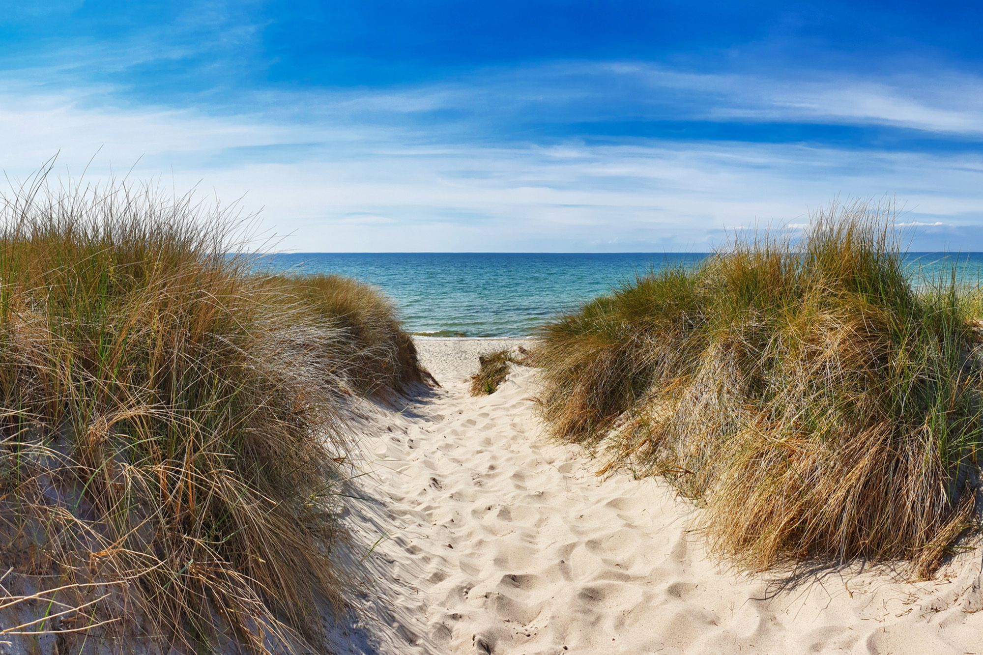 Bild von Dünen, Sandstrand und Meer