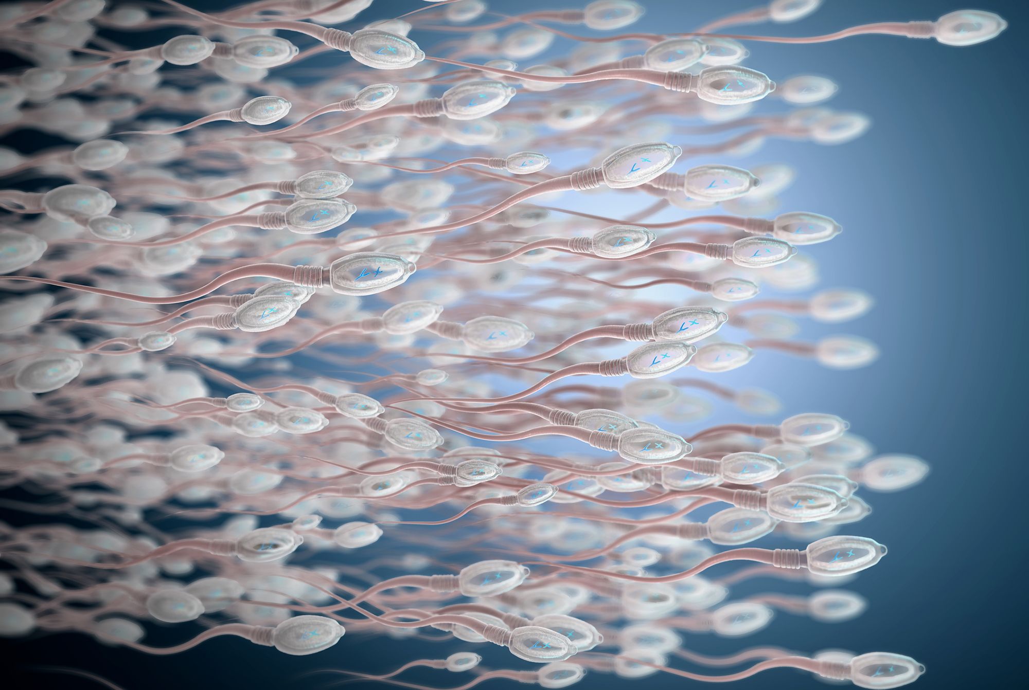 Spermien auf blauem Hintergrund