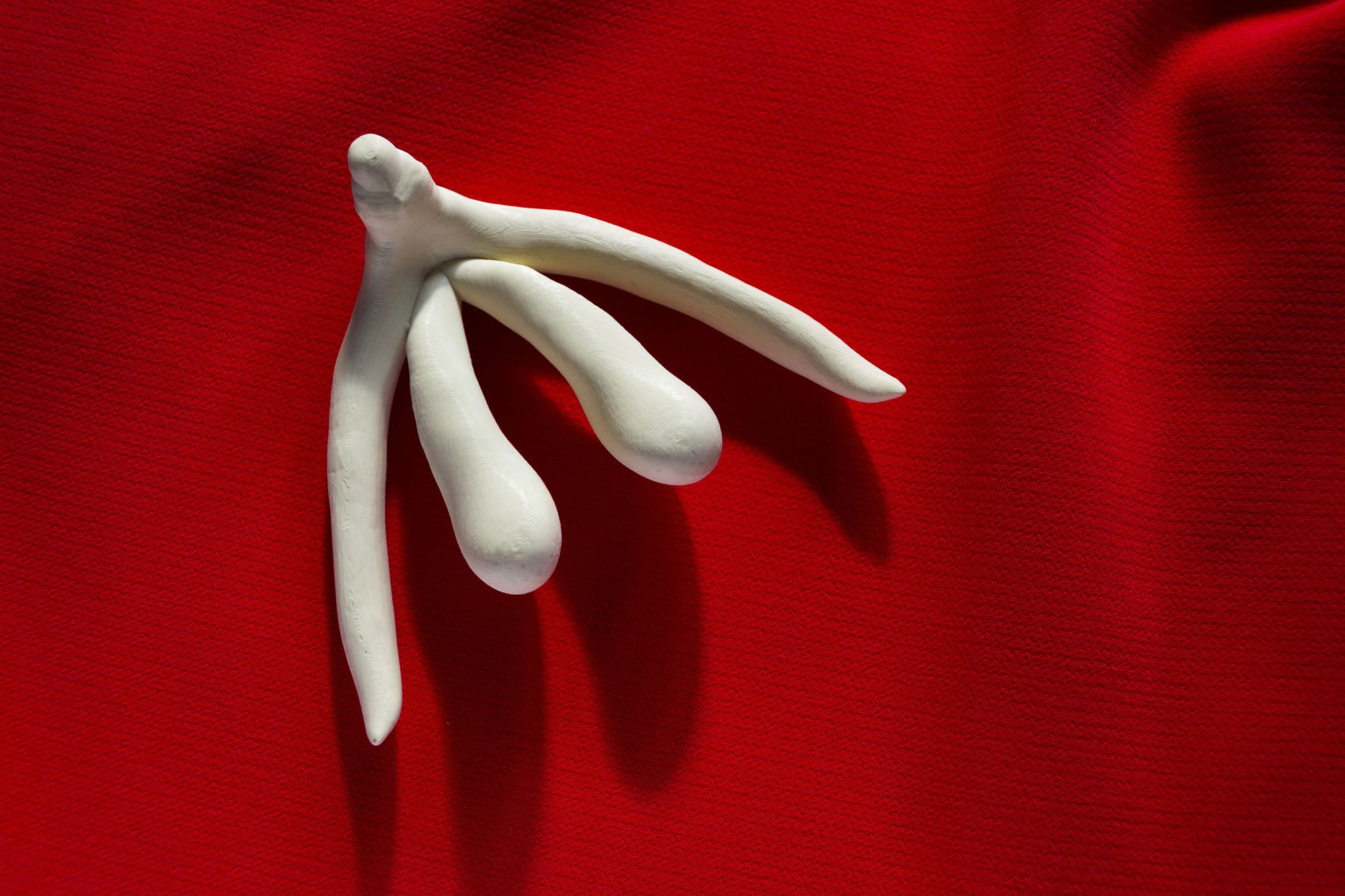 Eine aus Knete geformte Klitoris