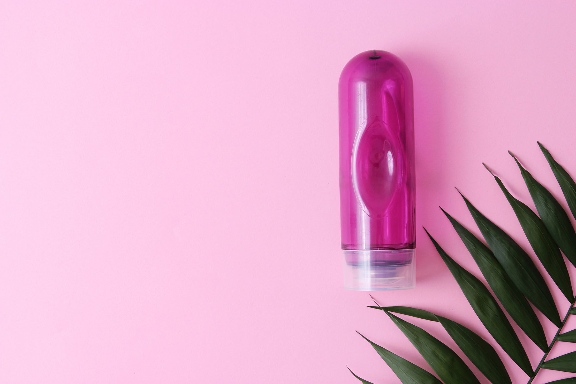 Gleitgel auf rosa Hintergrund mit grünem Farn