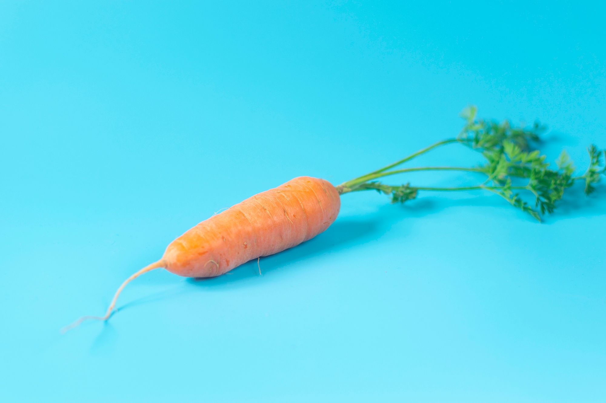 Karotte als Symbol für den Penis