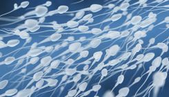 Darstellung vieler Spermien auf einem blauen Hintergrund