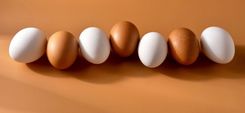 7 Eier braun und weiß liegen in einer Reihe
