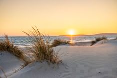 Dünen, dahinter ist das Meer zu sehen