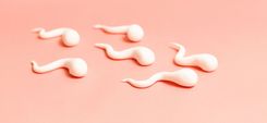 Sperma aus Marshmallows auf rosa Hintergrund