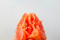 Ein Stück Grapefruit vor einem weißen Hintergrund